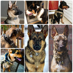 Adjustable Military Tactical Dog Collars